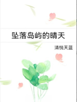 坠落岛屿的晴天免费笔趣阁