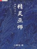 霍格沃茨之精灵巫师