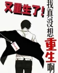 我真没想重生啊:又重生了!