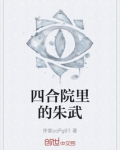 四合院里的朱武