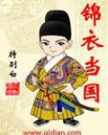 锦衣当国