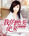 我的绝美前妻