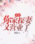 教授,你家探妻又营业了