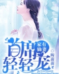 家有仙妻:首席轻轻宠