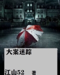 大案迷踪