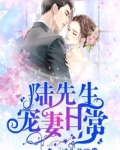 陆先生宠妻日常