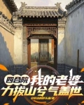 四合院：我的老婆力拔山兮气盖世