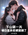 下山第一天,被白富美老婆逮捕了