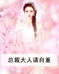 总裁大人请自重