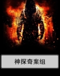 神探奇案组