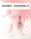 被迫离婚后,丞相对我垂涎三尺