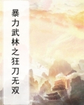 暴力武林之狂刀无双