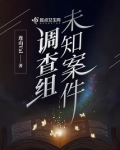 未知案件调查组
